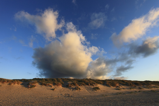 duinen Vlieland 2011